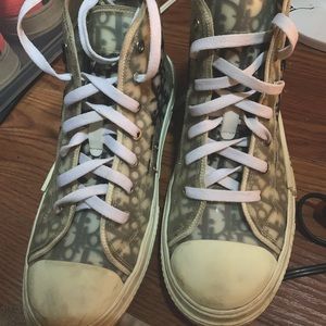 Dior B23 x Shawn collab shoe